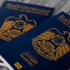 gcc states have most powerful passports in arab world report