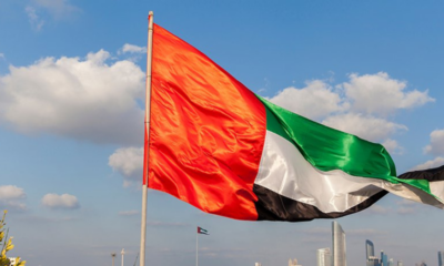 what do the uae flag colours mean