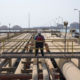 have gulf states shed their 'rentier' status reliant on oil