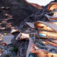 futuristic new ski resort emerges in desert of saudi arabia