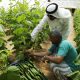 gcc banks' strategic investments in food security