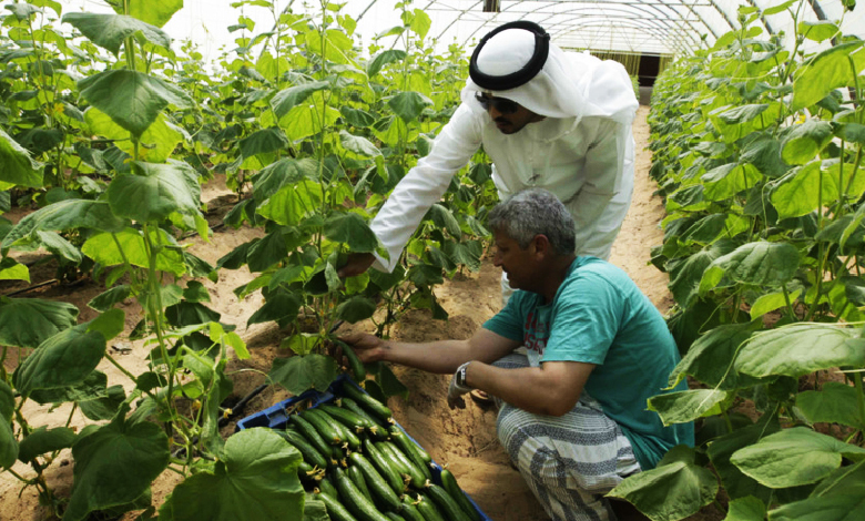 gcc banks' strategic investments in food security