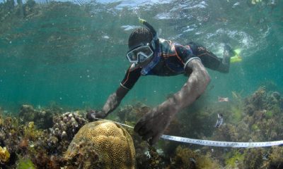 UAE Team Secures $1 Million Funding Boost For Major Marine Project On Corals