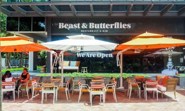 beast butterflies