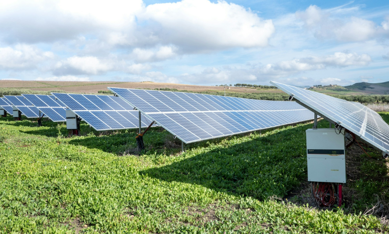 UAE Ministry to highlight nation's achievements in clean energy transition at World Future Energy Summit