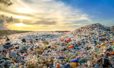 uae takes a leap towards sustainable waste management