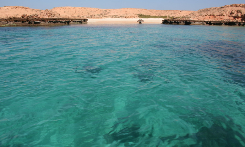 daymaniyat islands a tropical paradise