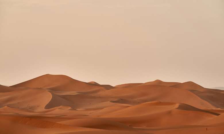 wahiba sands desert