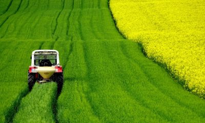 KSA Environment Ministry launches ‘Harvest Season’ to promote a healthy lifestyle by buying local produce