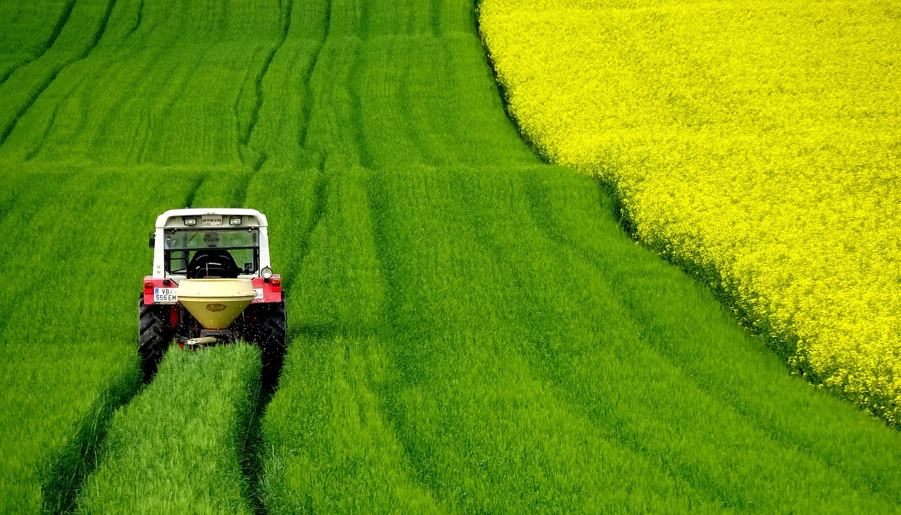 KSA Environment Ministry launches ‘Harvest Season’ to promote a healthy lifestyle by buying local produce