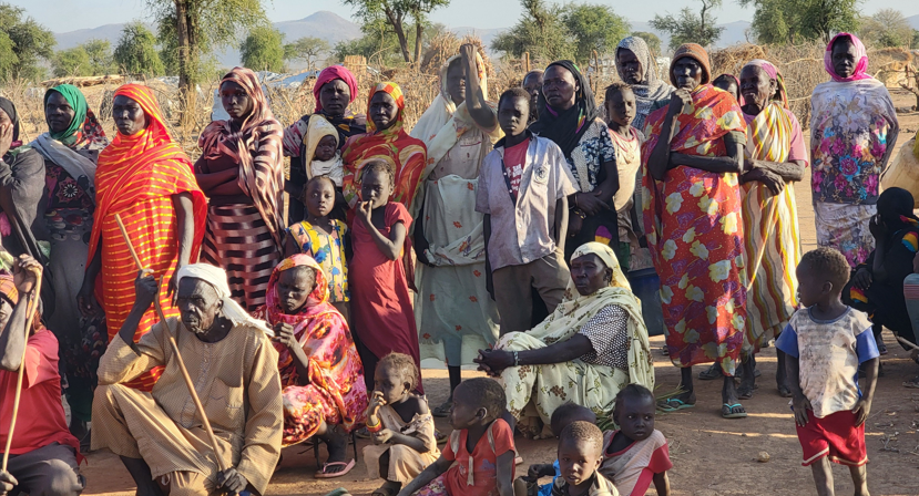 15 countries issue joint statement on acute food insecurity recorded in Sudan