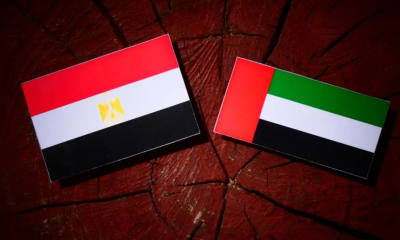 UAE hails inter-Yemeni agreement concerning banks and airlines