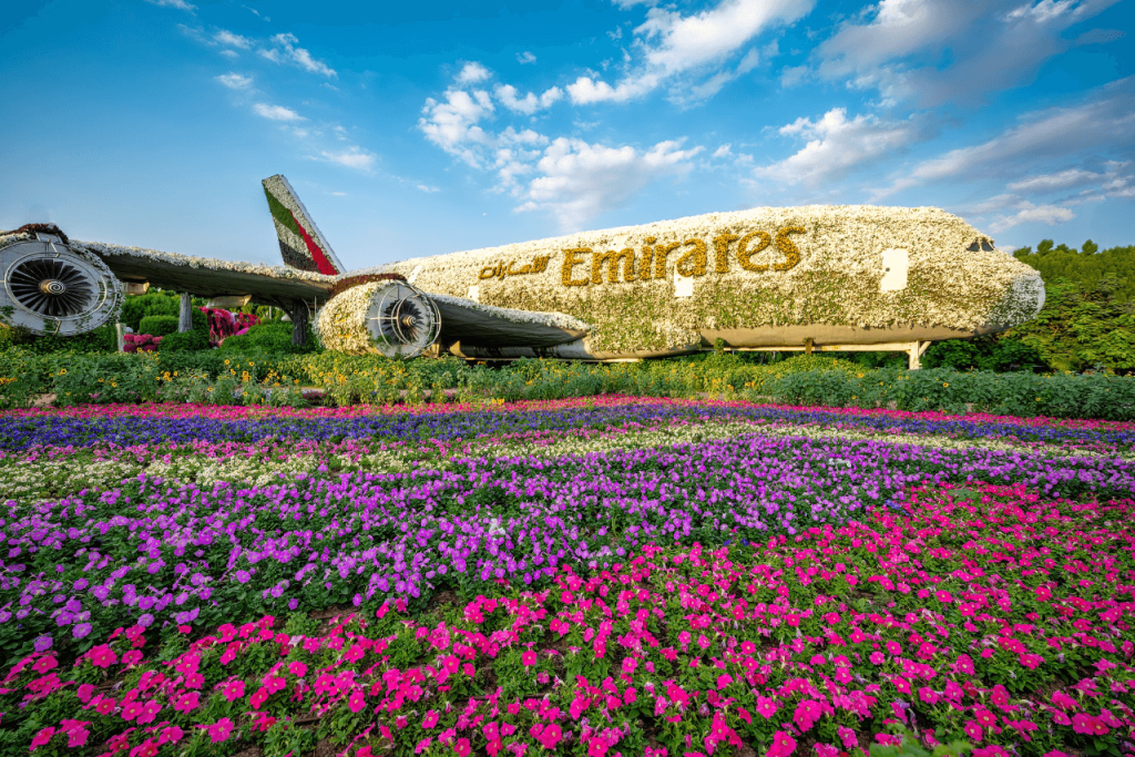 Miracle Garden