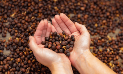 why yemeni coffee is among the oldest and most unique in the world