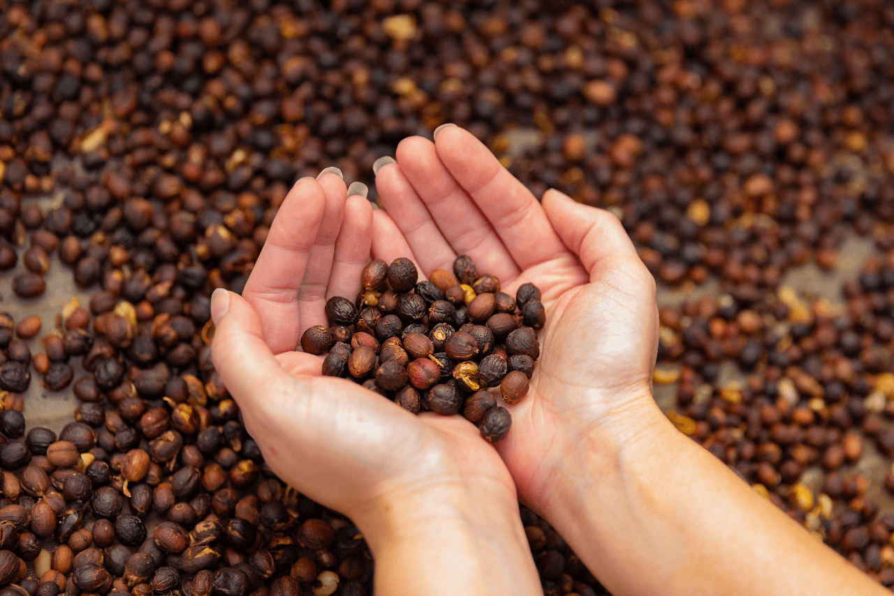 why yemeni coffee is among the oldest and most unique in the world