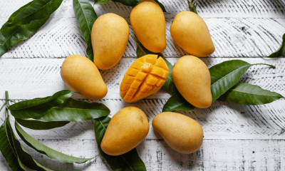 lulu’s mango mania festival 2025