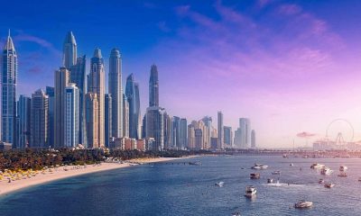 uae job sectors to be offered in 2025