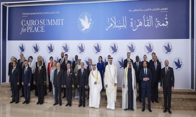 uae leads global gaza aid efforts