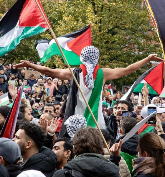 muslim brotherhood report