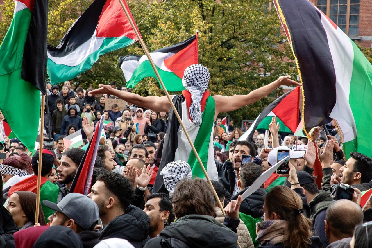 muslim brotherhood report