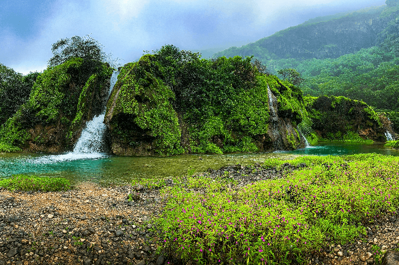 salalah tourist attractions to visit in monsoon