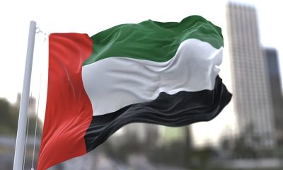 uae national day 2025