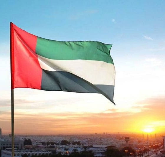 UAE human rights