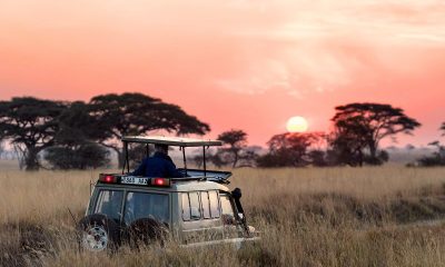 UAE’s $6B Boost for Africa’s Sustainable Tourism Growth