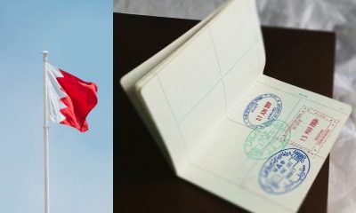 How to Check Qatar ID Status Online | QID Guide