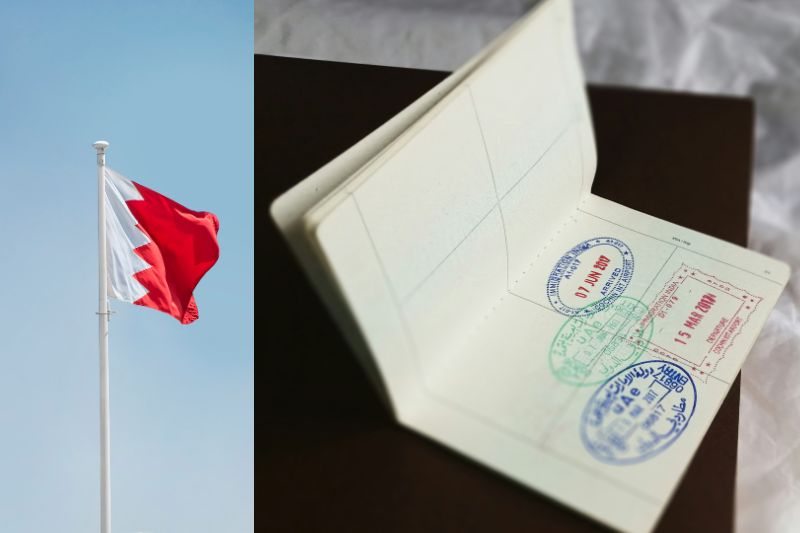 How to Check Qatar ID Status Online | QID Guide