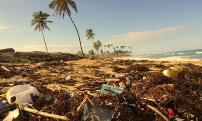 Alliance to End Plastic Waste GCC programme