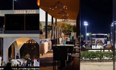 Buheij Horse Park Tour Bahrain