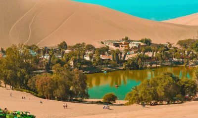 Al-Ahsa Oasis Experiences