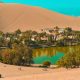 Al-Ahsa Oasis Experiences