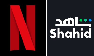 netflix shahid joint package