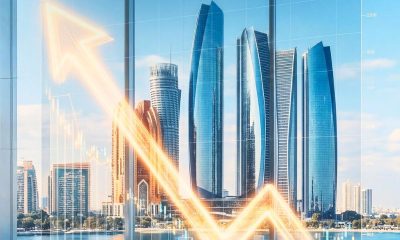 uae tax procedures regulations