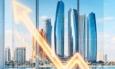 uae tax procedures regulations