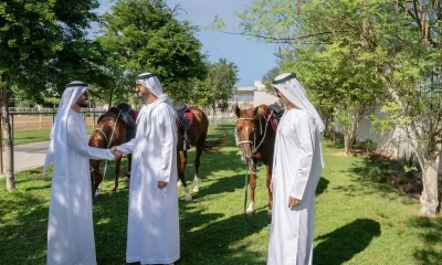 UAE on Iranian Residents’ Rights and Security