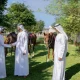 UAE on Iranian Residents’ Rights and Security