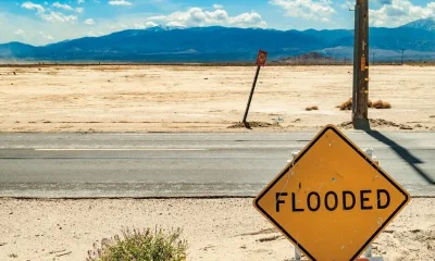 gcc coordination offices