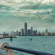 Abu Dhabi Rent Freeze 2026