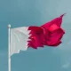 Qatar National Service for Expats