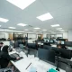 UAE WPS Exemptions 2026