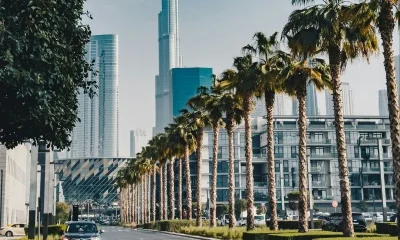 UAE Visa on Arrival Rules