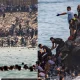 mass migration surge