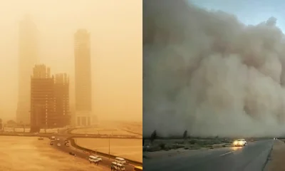 navigating summer dust storms in saudi arabia