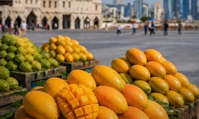 pakistani mango exhibition doha