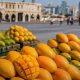 pakistani mango exhibition doha