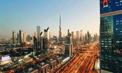 UAE visa fine exemption status