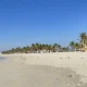 al dahariz beach festival guide